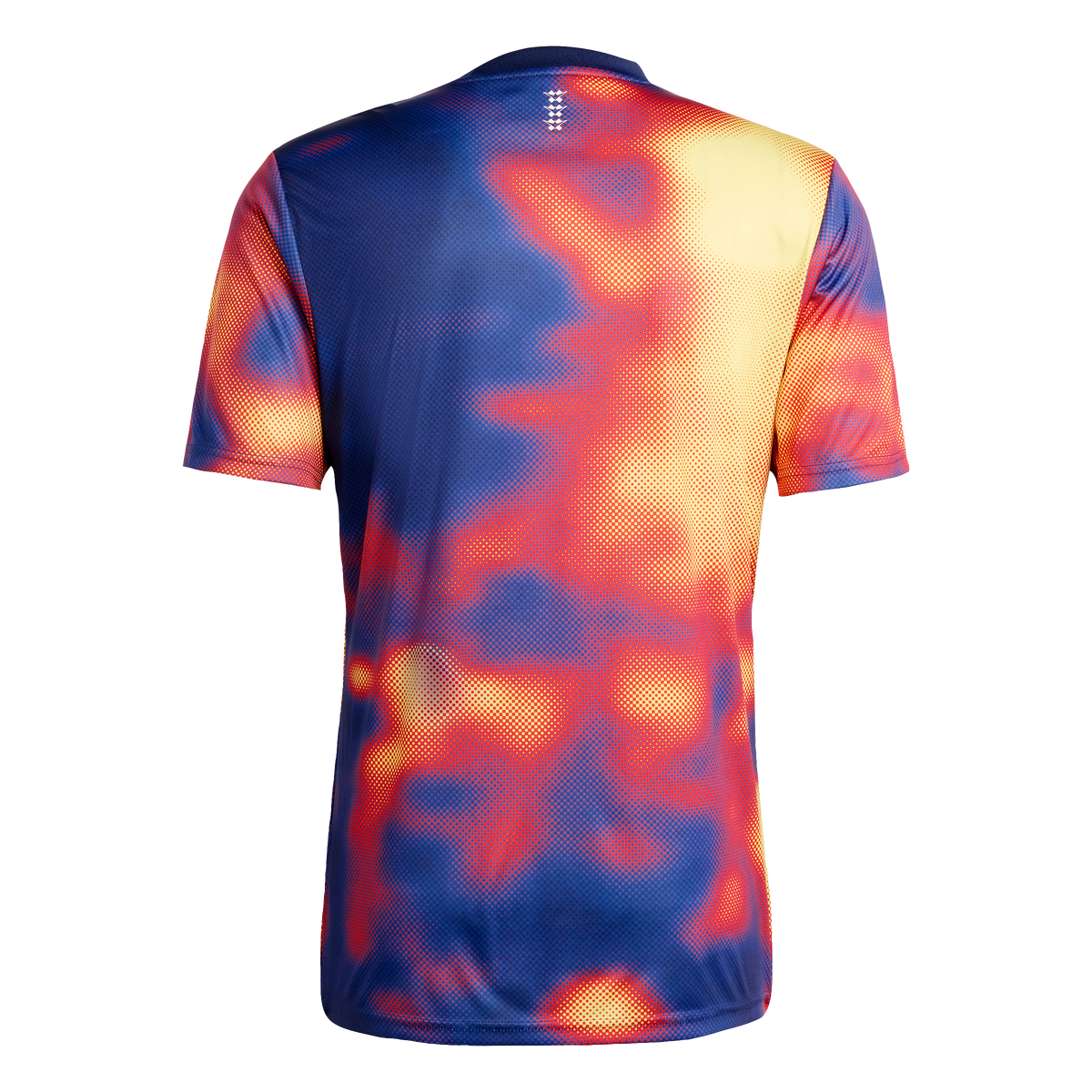 Ajax-Pre Match shirt 2025-2026 4