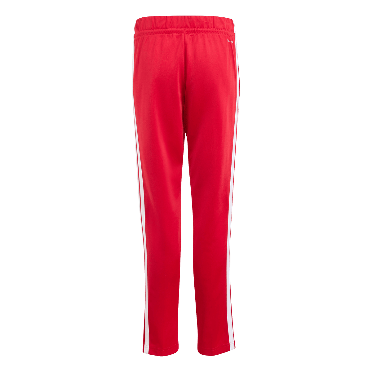 Ajax-DNA tracksuit junior 2026-2027 4