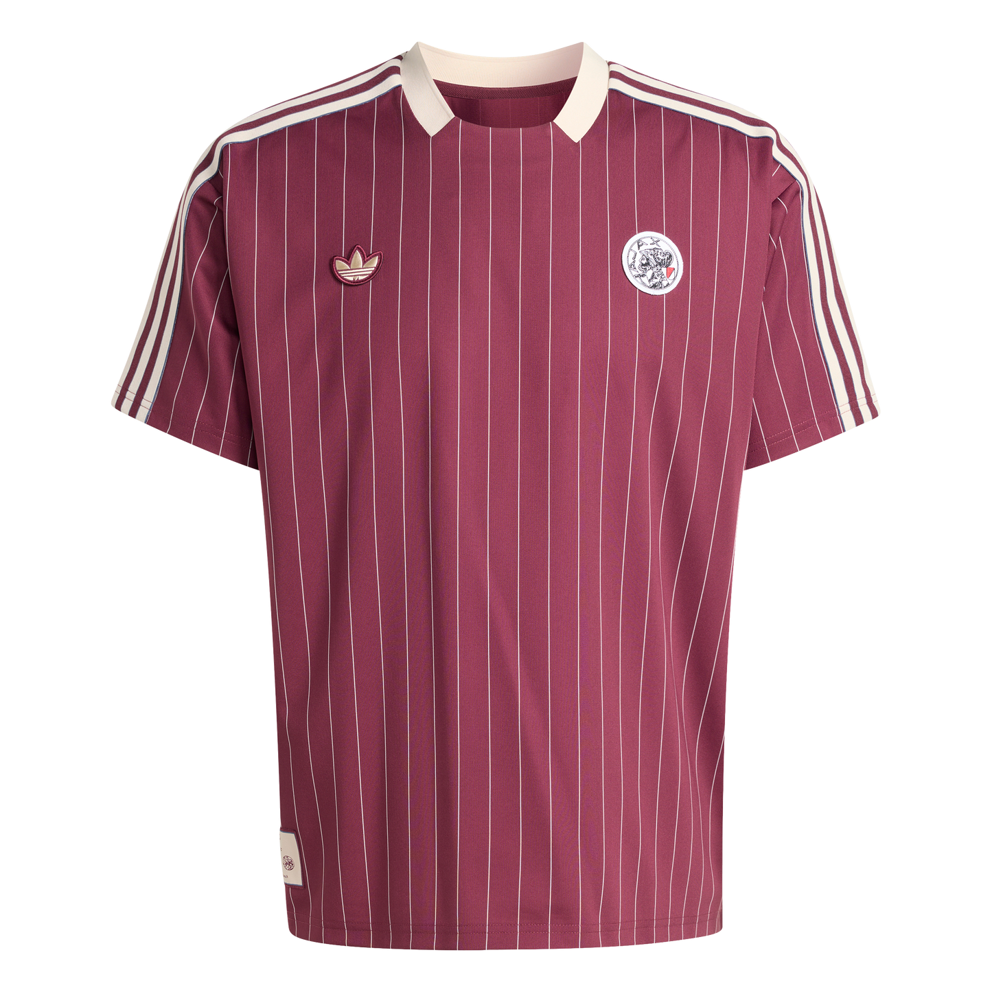 Ajax-Terrace Icons jersey 2025-2026 1